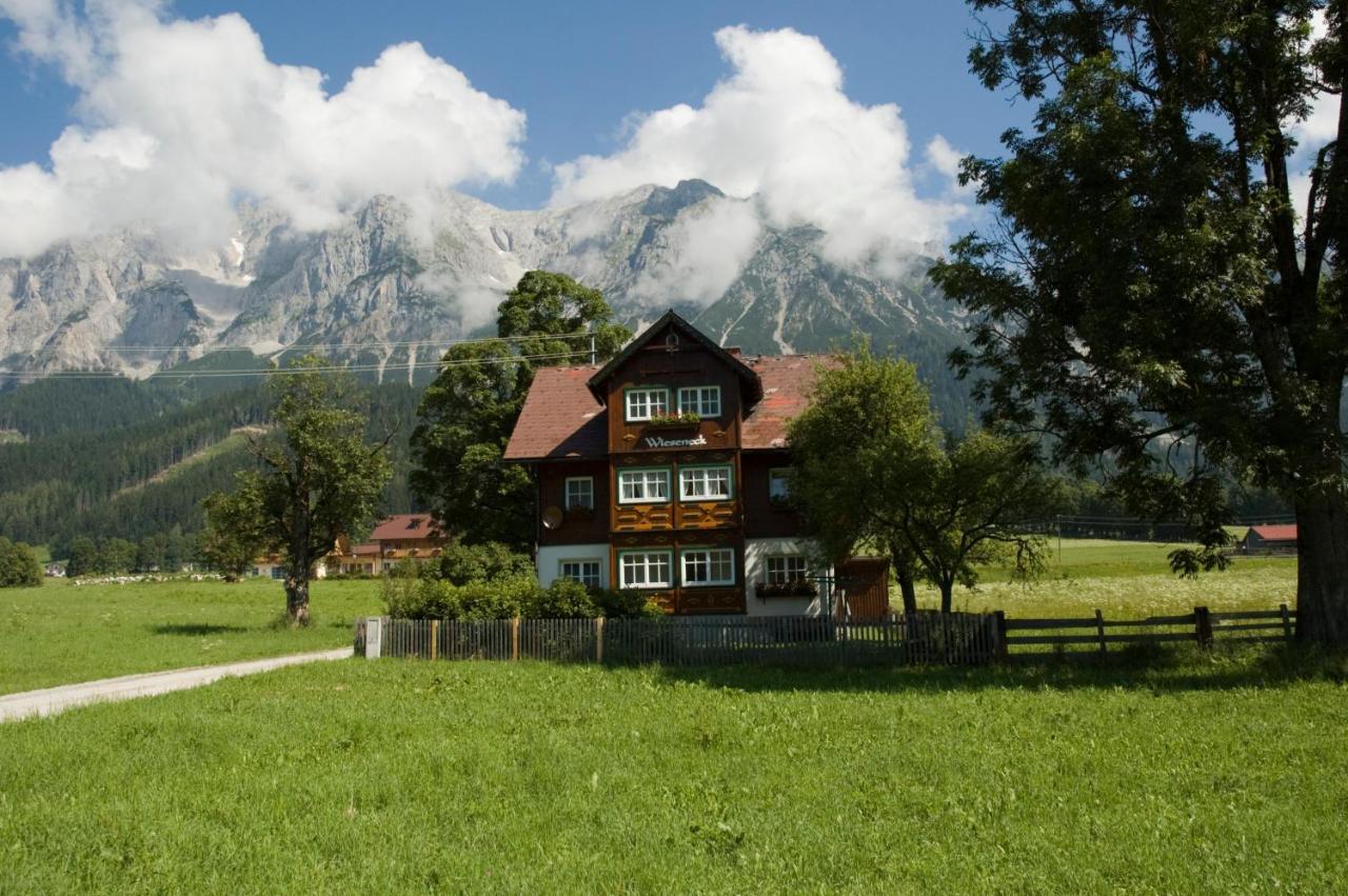 Appartements Wieseneck - Ramsau Am Dachstein - Inklusive Sommercard ! Ramsau am Dachstein Exterior foto