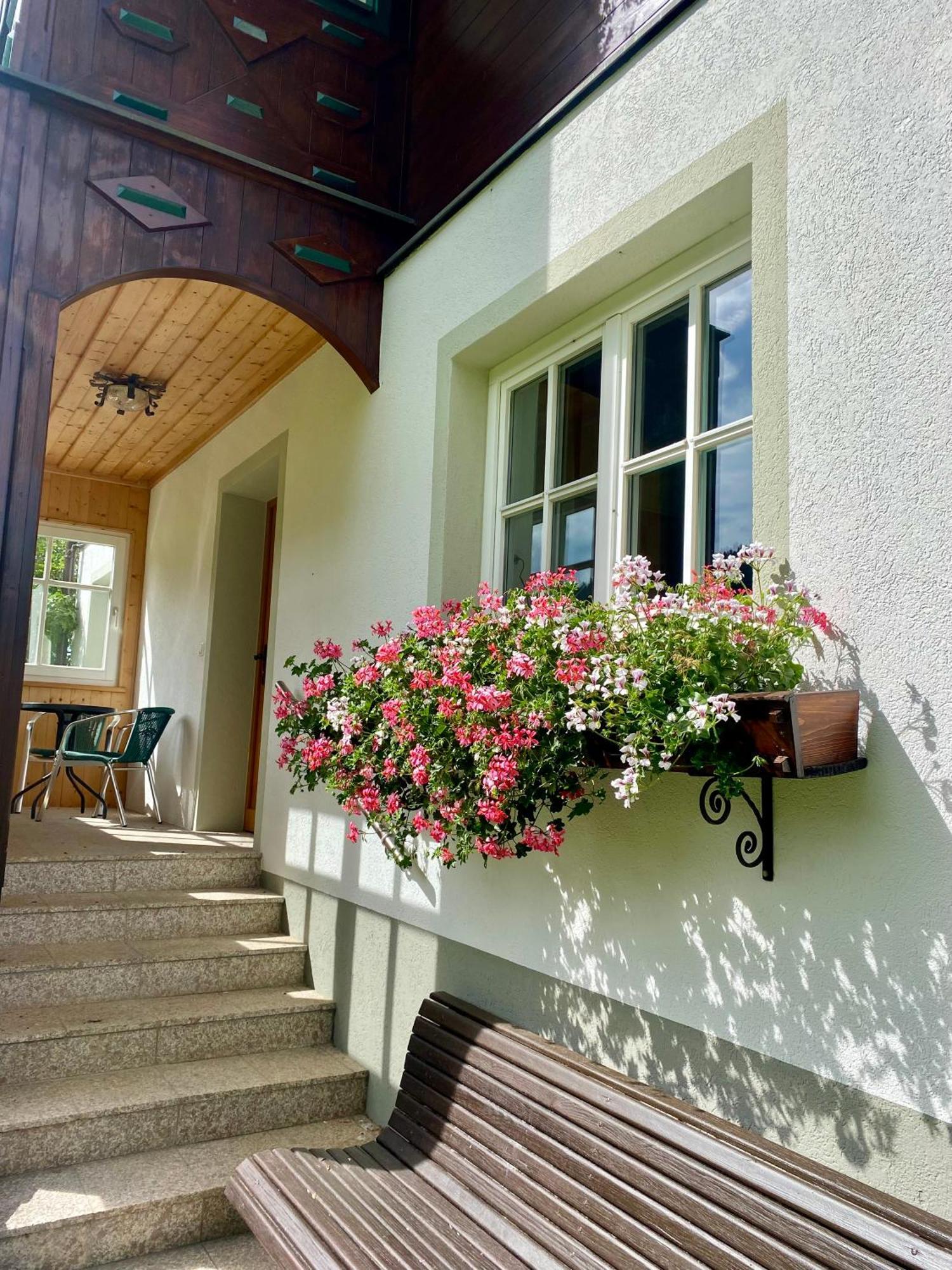 Appartements Wieseneck - Ramsau Am Dachstein - Inklusive Sommercard ! Ramsau am Dachstein Exterior foto
